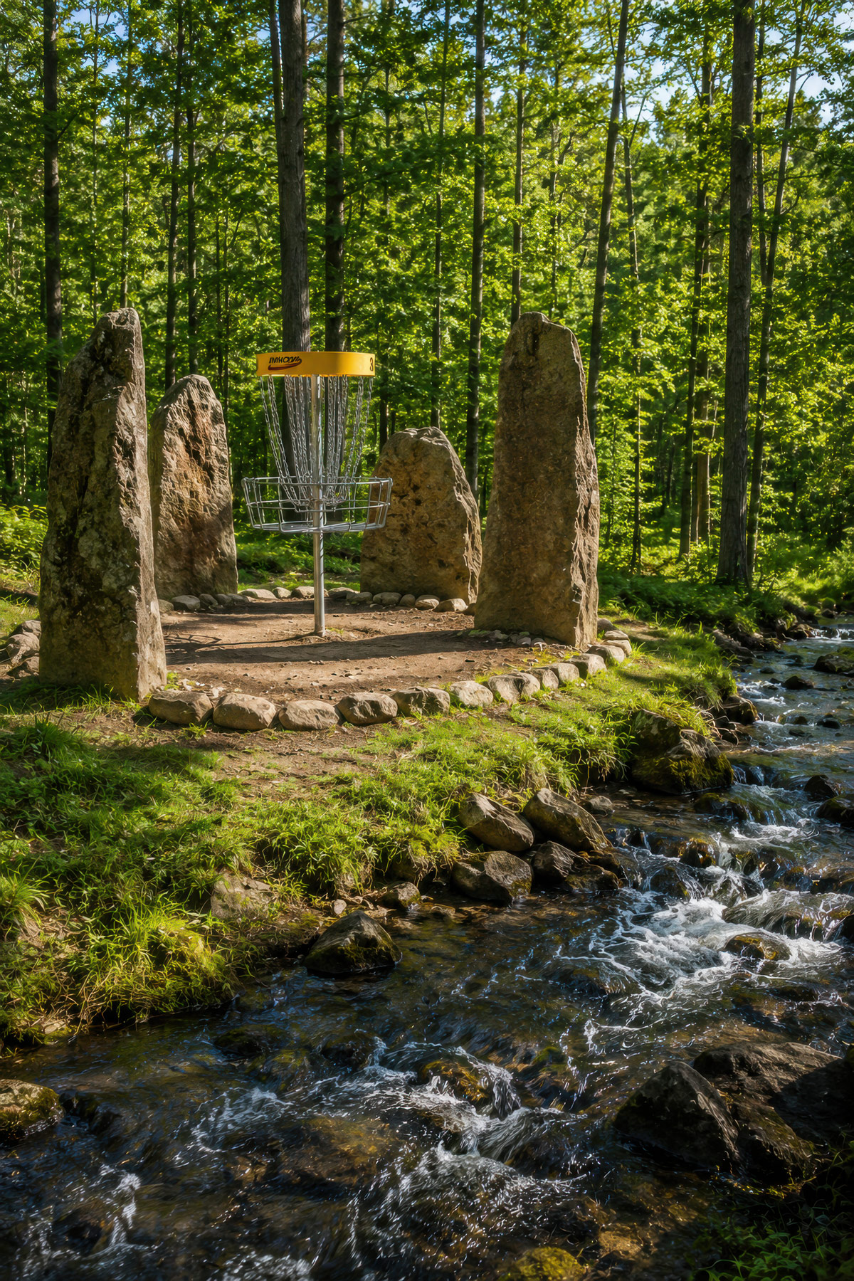 Protected green disc golf basket area illustration